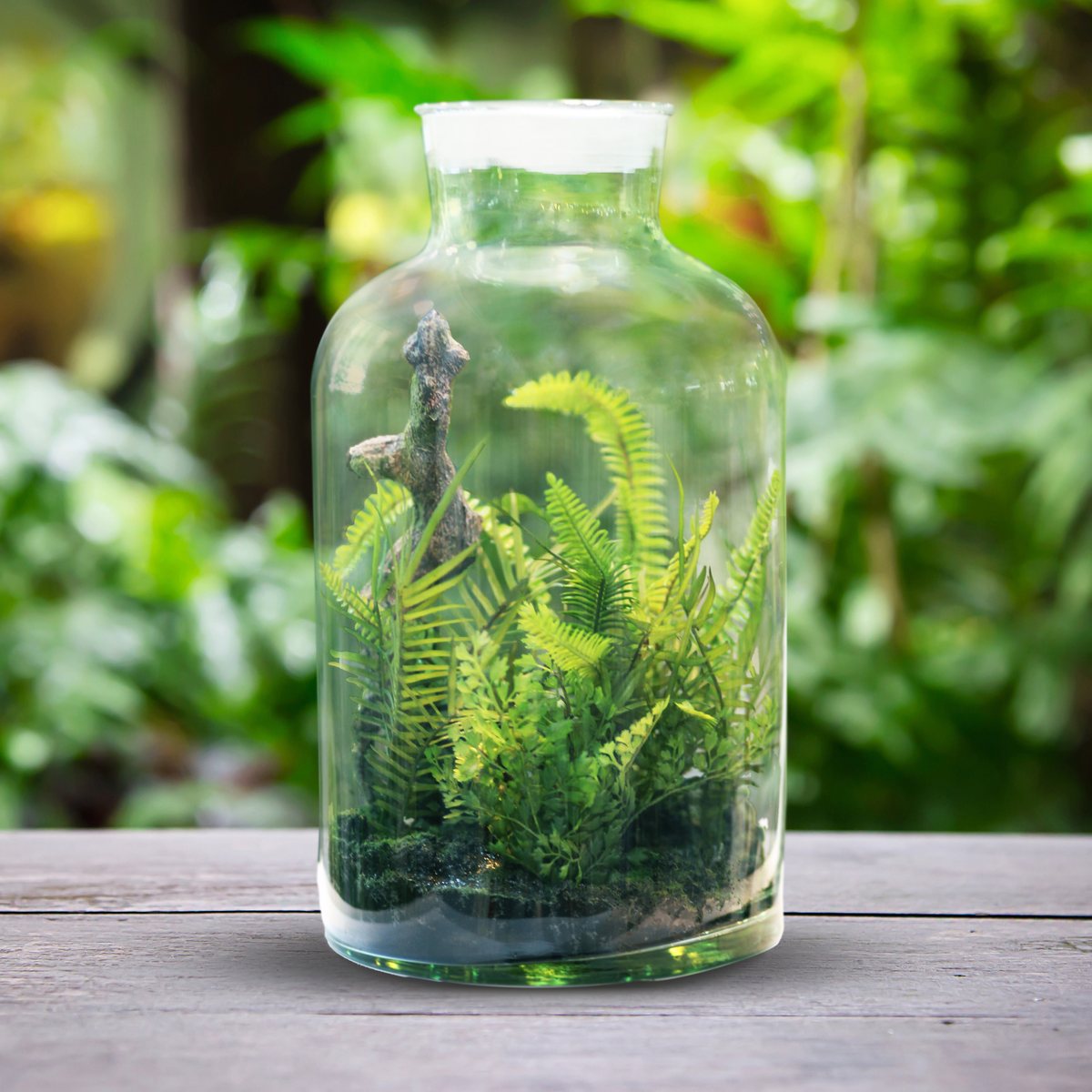 Terrariums