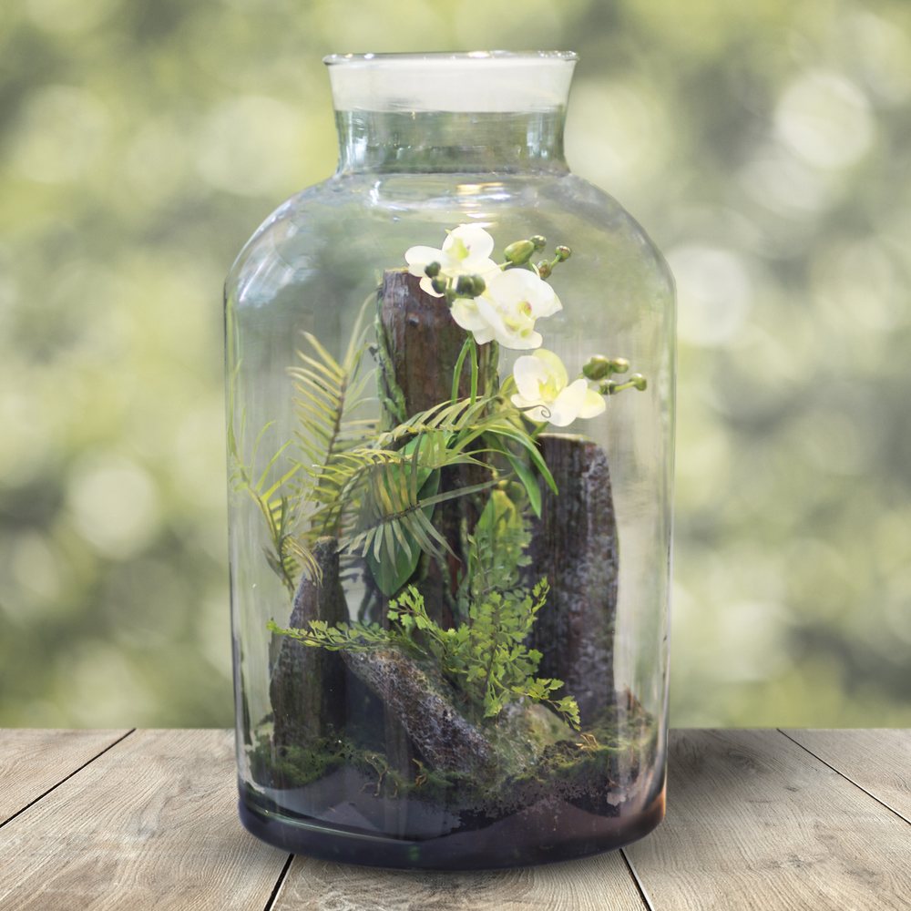 Fern Terrarium Jar 2