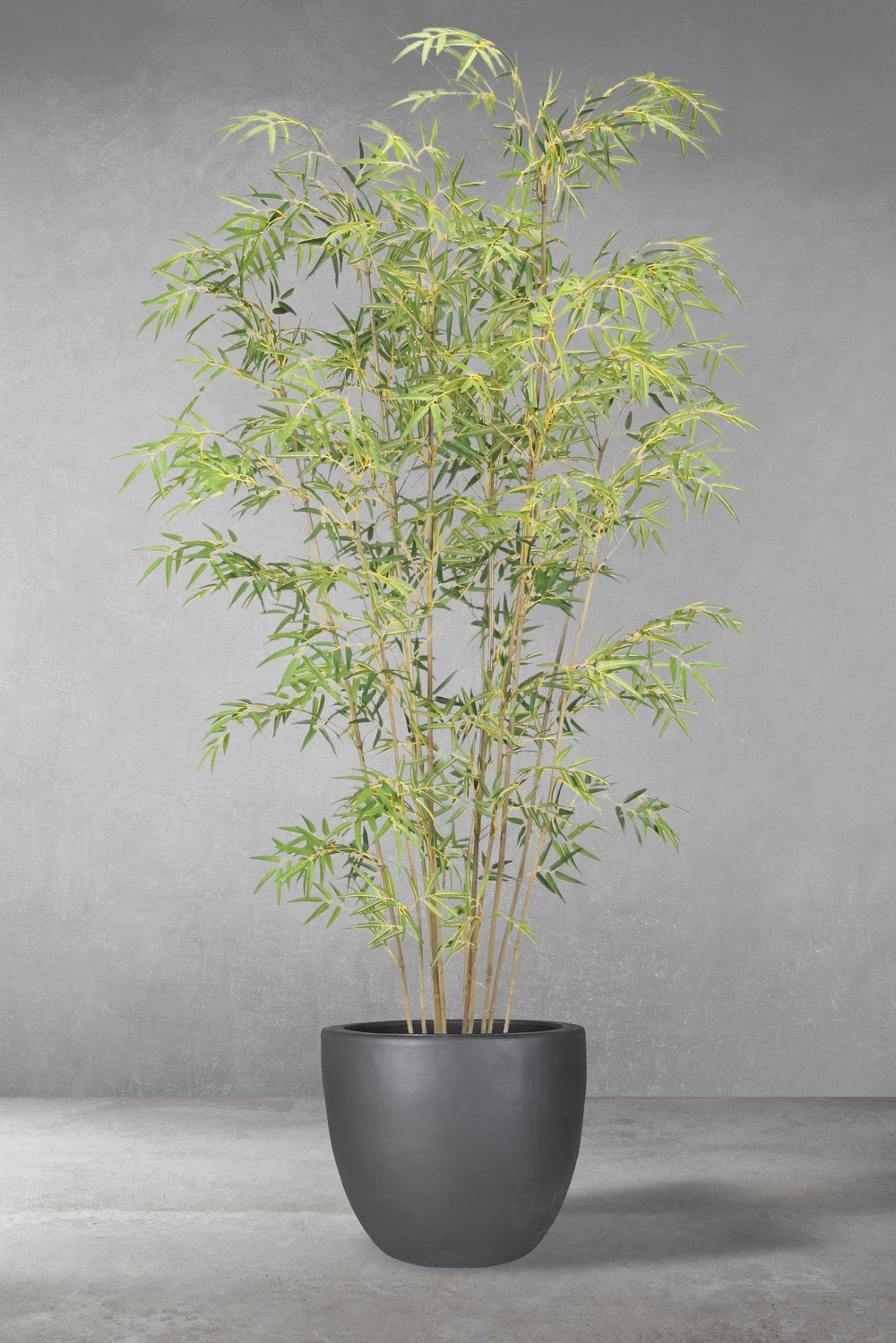 Artificial Ficus Tree